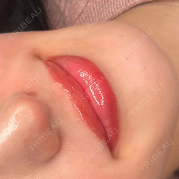 アートメイク（唇） Brandnew Beauty Clinic DAY 0 メイン用