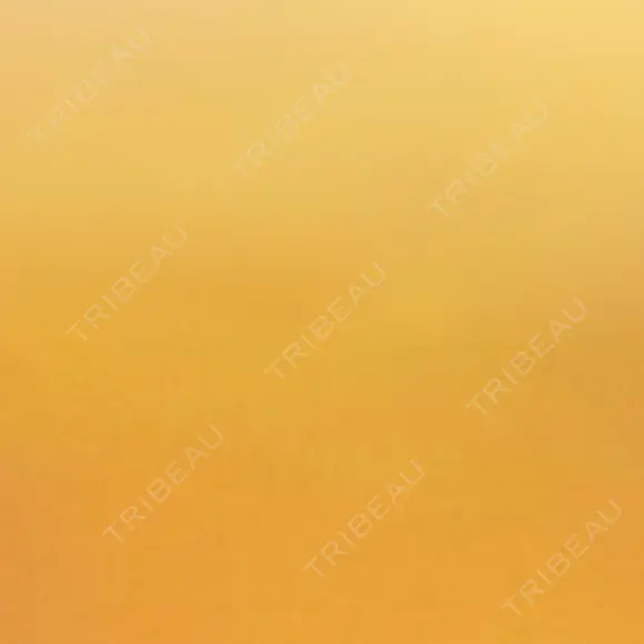 ヒアルロン酸注入（あご） ヴェリテクリニック 大阪院 DAY 0 メイン用