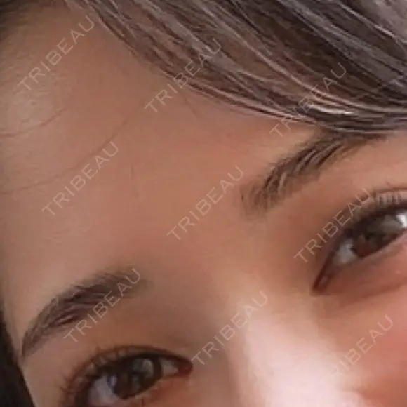 アートメイク（眉） ARTMAKE DESIGN LAB 【アートメイクデザインラボ】 DAY 2 メイン用