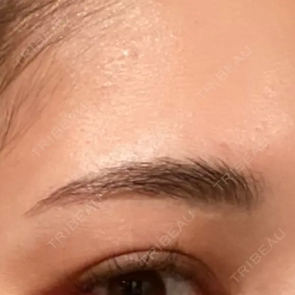 アートメイク（眉） ARTMAKE DESIGN LAB 【アートメイクデザインラボ】 DAY 30 メイン用