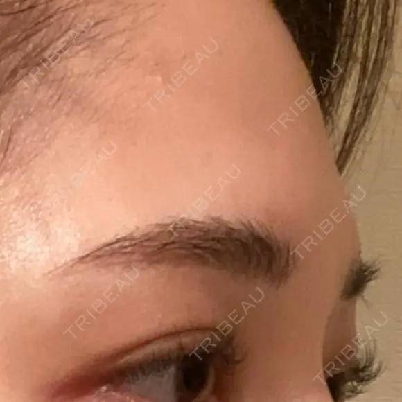 アートメイク（眉） ARTMAKE DESIGN LAB 【アートメイクデザインラボ】 DAY 30 メイン用