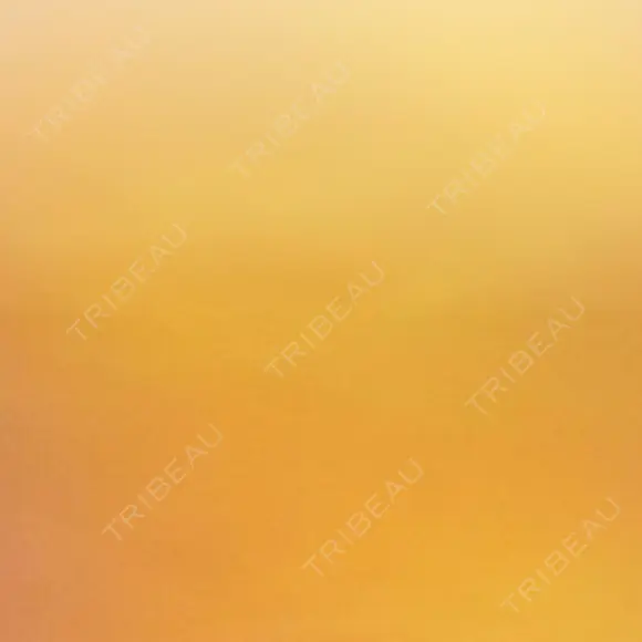 ヒアルロン酸注入（あご） ヴェリテクリニック 大阪院 BEFORE メイン用