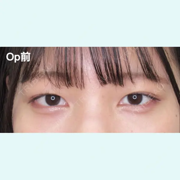 福岡TAクリニックの症例