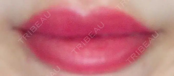 アートメイク（唇） TRUE DESIGN CLINIC AFTER メイン用