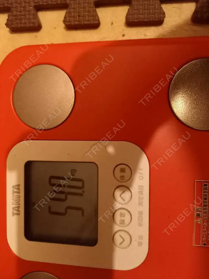 GLP-1ダイエット セオリークリニック DAY 9 メイン用