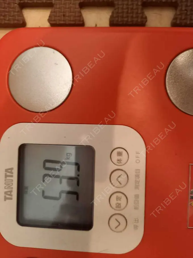 GLP-1ダイエット セオリークリニック DAY 10 メイン用