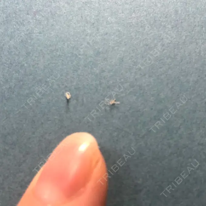 人中短縮 みずほクリニック DAY 57 メイン用