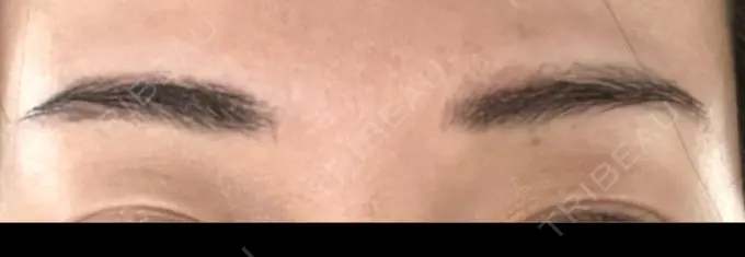 アートメイク（眉） THE ARTMAKE TOKYO 銀座院 DAY 6 メイン用