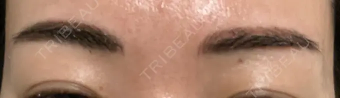 アートメイク（眉） THE ARTMAKE TOKYO 銀座院 DAY 48 メイン用