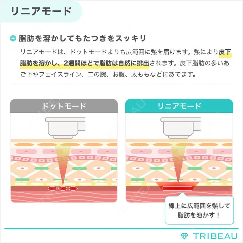 ハイフ（首）の解説画像3