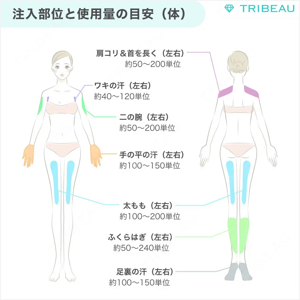 ボトックス（ガミースマイル）の解説画像2