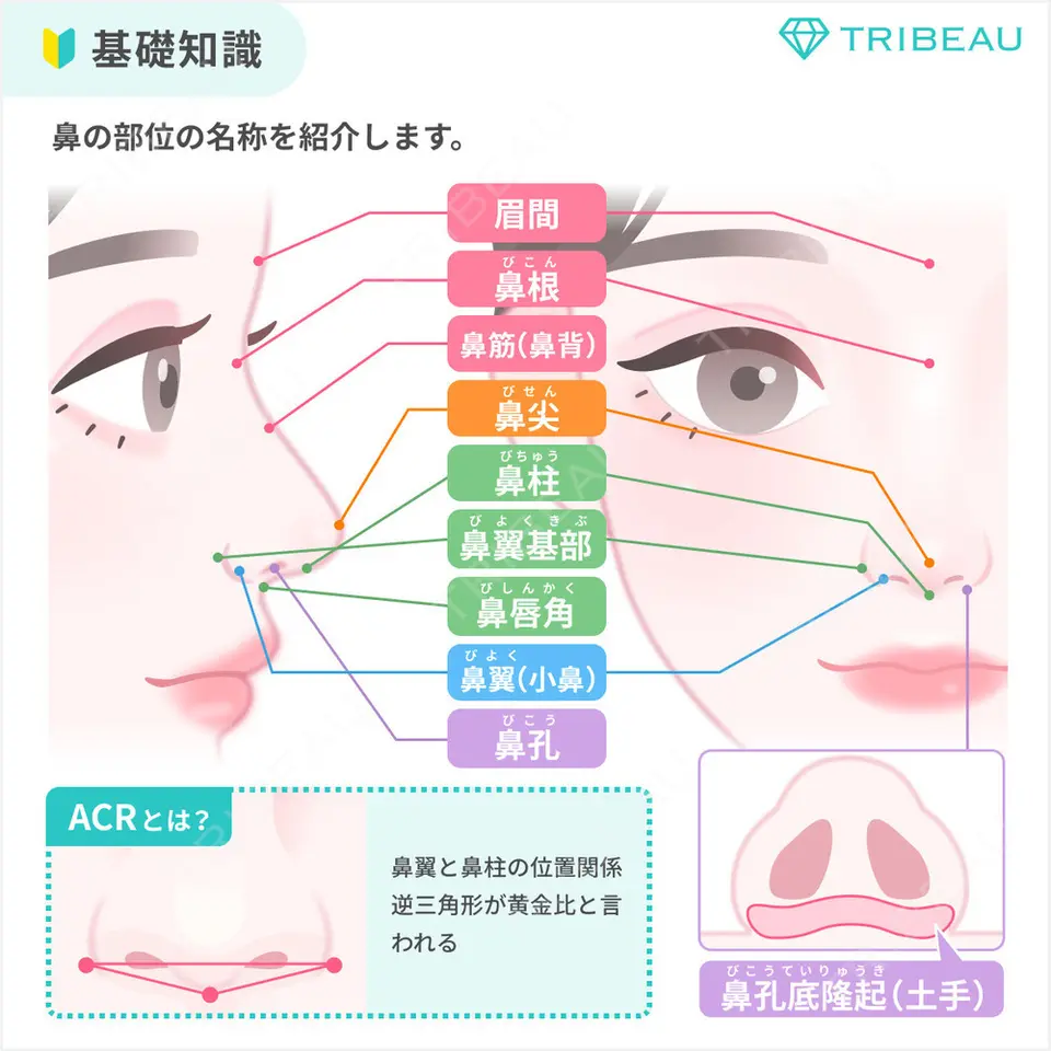 ワシ鼻修正・ハンプ切除の解説画像1