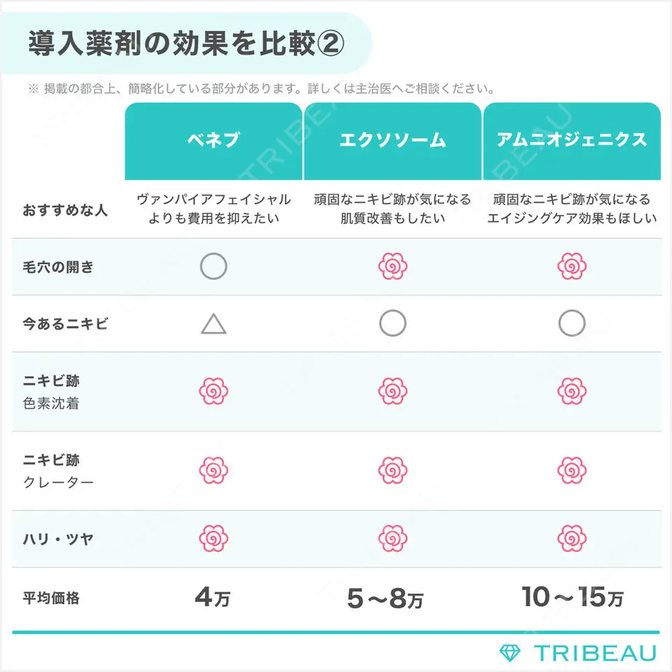 ダーマペンの解説画像3