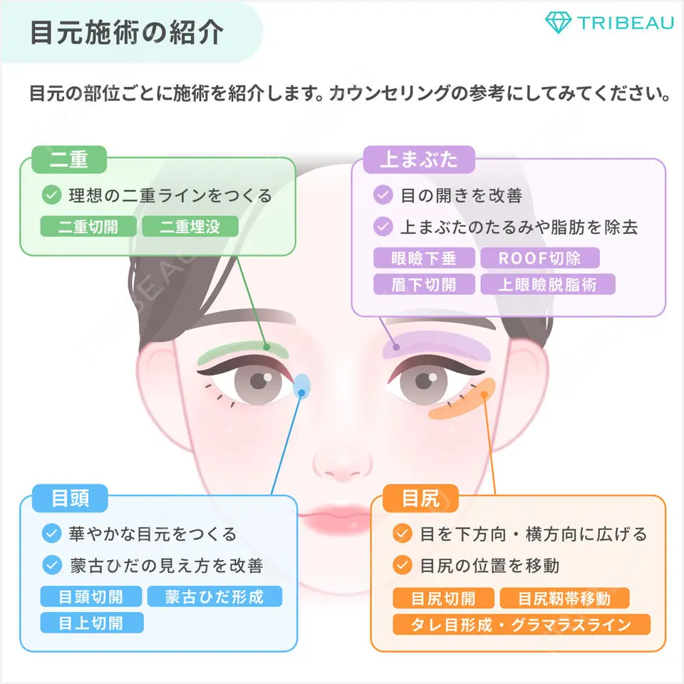 タレ目形成・グラマラスライン（切開）の美容外科・美容皮膚科クリニック一覧【489件】 | トリビュー[TRIBEAU]